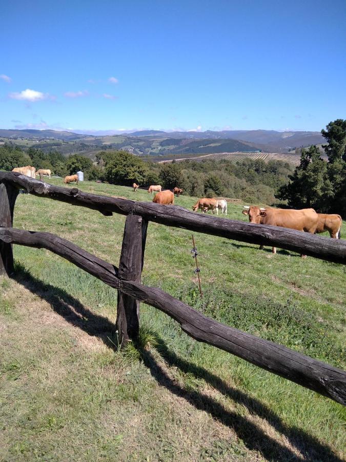 La Posada De Oscos ซานตาเอวลาเลีย เด โอสโกส ภายนอก รูปภาพ