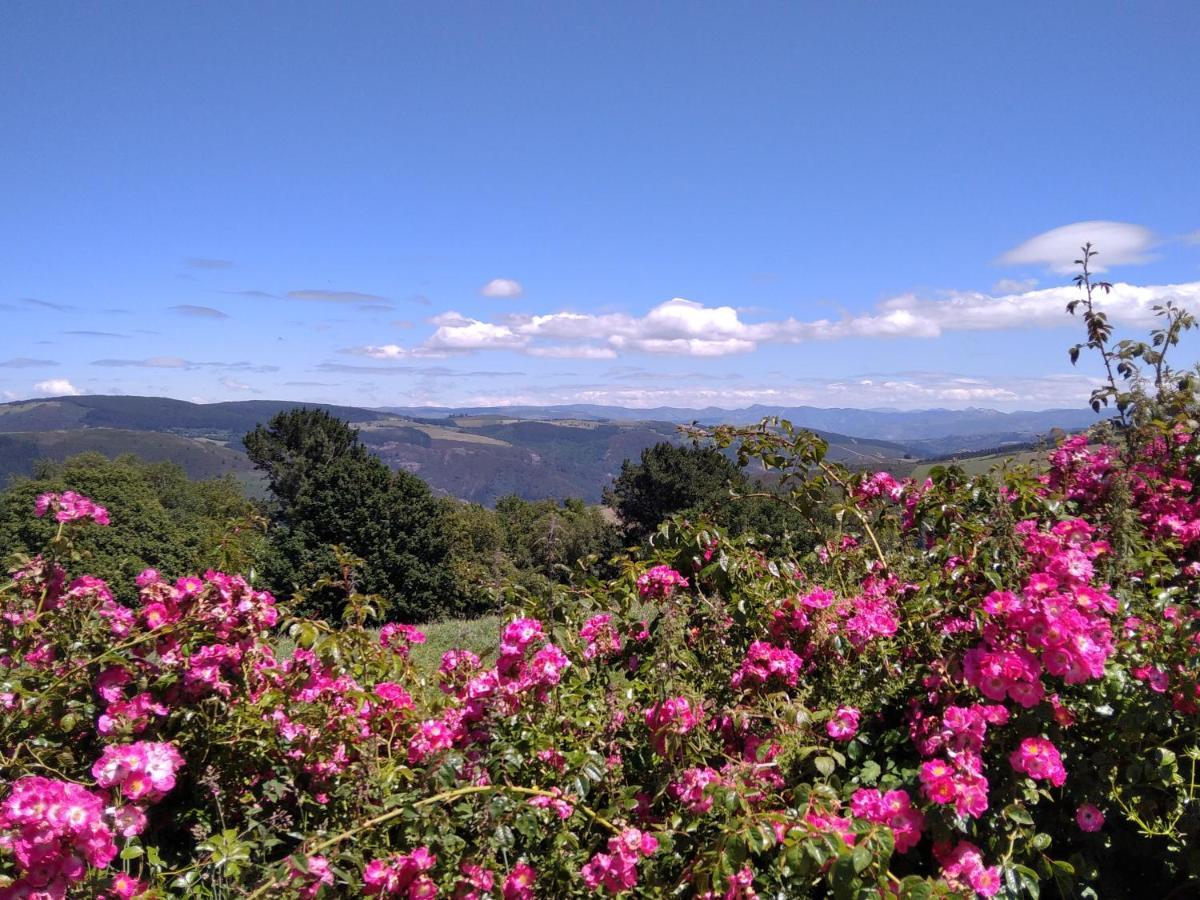 La Posada De Oscos ซานตาเอวลาเลีย เด โอสโกส ภายนอก รูปภาพ